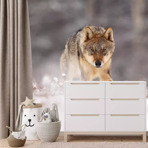 Fototapete Wolf läuft durch den Schnee