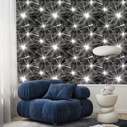 Tapete Pusteblumen schwarz-weiß großes Muster