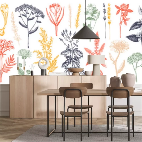 Fototapete Feldpflanzen und Kräuter bunte Komposition auf weißem Hintergrund