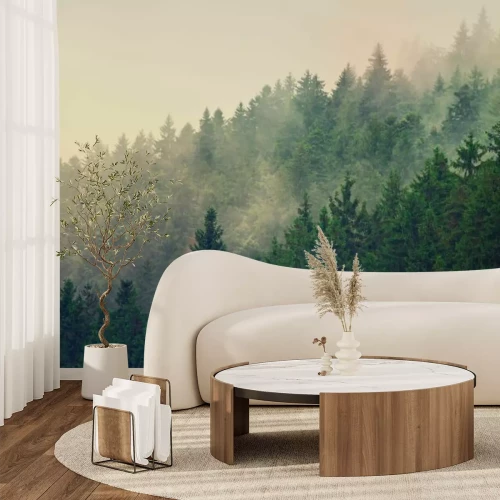 Fototapete Nebliger Berghang Landschaft