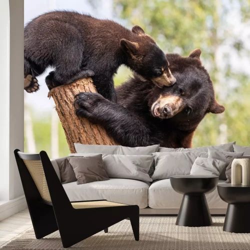 Fototapete Bären auf einem Baumstamm