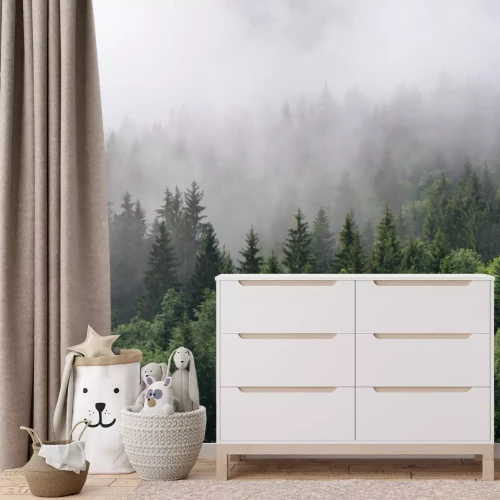 Fototapete Grüner Bergfichtenwald im Morgennebel