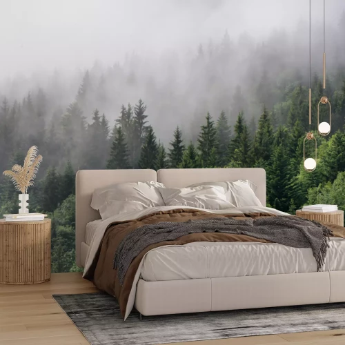 Fototapete Grüner Bergfichtenwald im Morgennebel