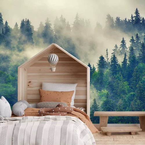 Fototapete Nebeliger Berg-Nadelwald Landschaft