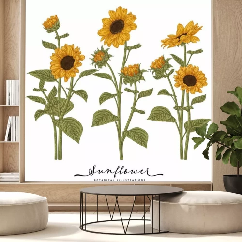 Sticker Sonnenblumen auf einer botanischen Illustration