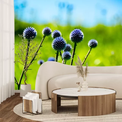 Sticker 瀬の本高原のヒゴタイ