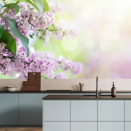 Fototapete Lila blühender Flieder vor unscharfem Hintergrund