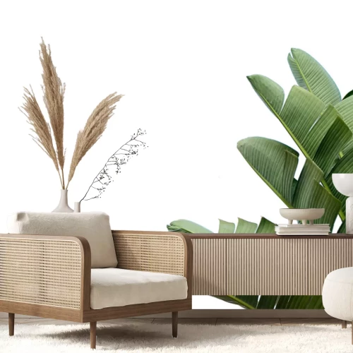 Sticker Große grüne tropische Blätter auf weißem Hintergrund