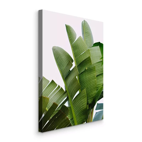 Bild Grüne Palmblätter auf hellem Hintergrund