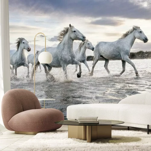 Fototapete Eine Herde weißer Pferde rennt durchs Wasser