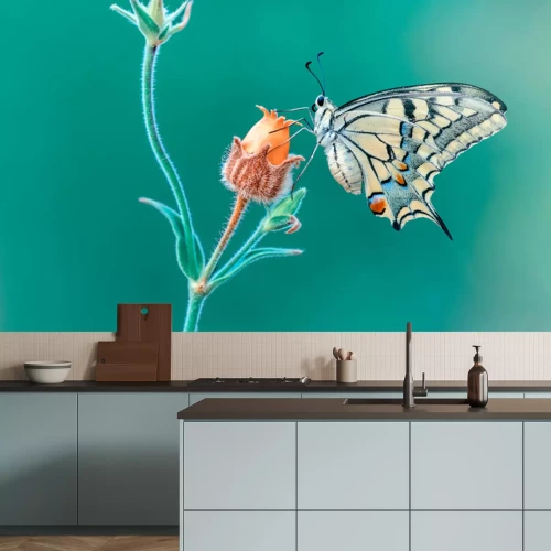 Fototapete Makrofotos eines schönen Schmetterlings, der auf einer Blume sitzt