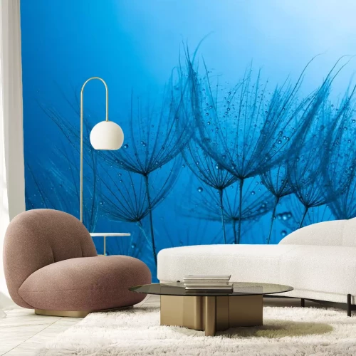 Fototapete Löwenzahnsamen auf blauem Grund