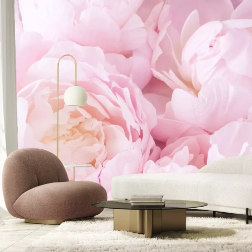 Fototapete Ein Bouquet aus duftenden Pfingstrosen in Pastellrosa