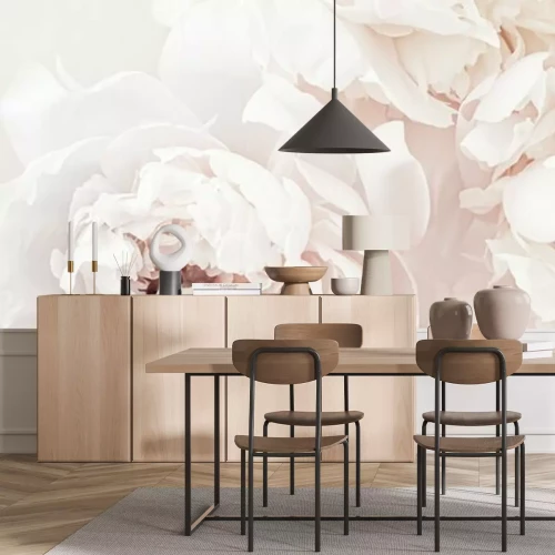 Fototapete Pastel peony flowers in bloom as floral art background, wedding decor and luxury branding design