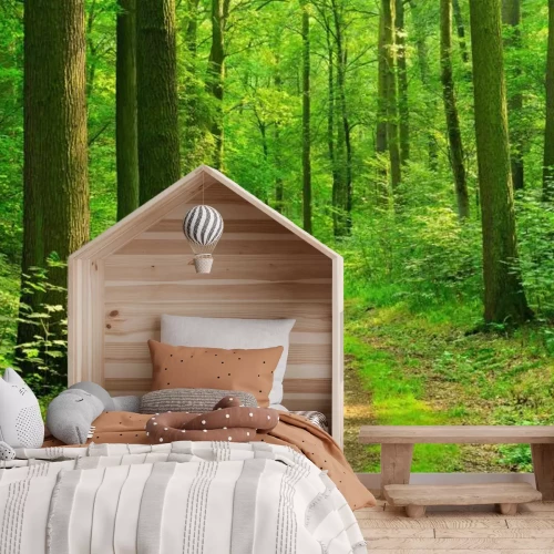 Fototapete Laubwald und Weg