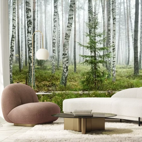 Fototapete Dark atmospheric landscape of the evergreen forest in a fog at sunrise. Pine, spruce, maple, birch trees and colorful plants close-up. Ecology, autumn, ecotourism, environmental conservation in Europe