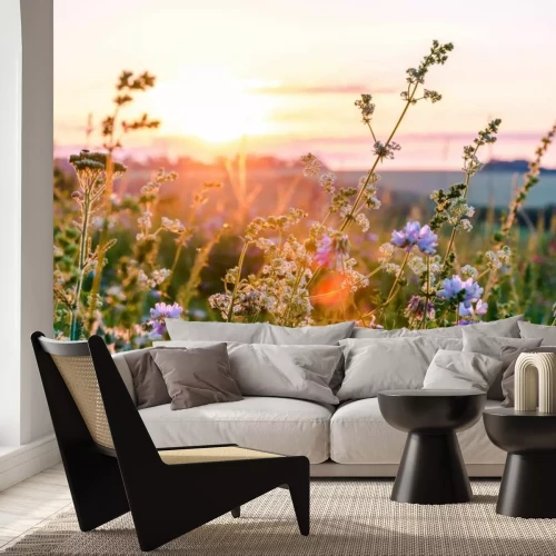 Fototapete Wiese mit Blumen bei Sonnenuntergang