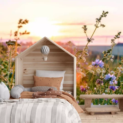 Fototapete Wiese mit Blumen bei Sonnenuntergang