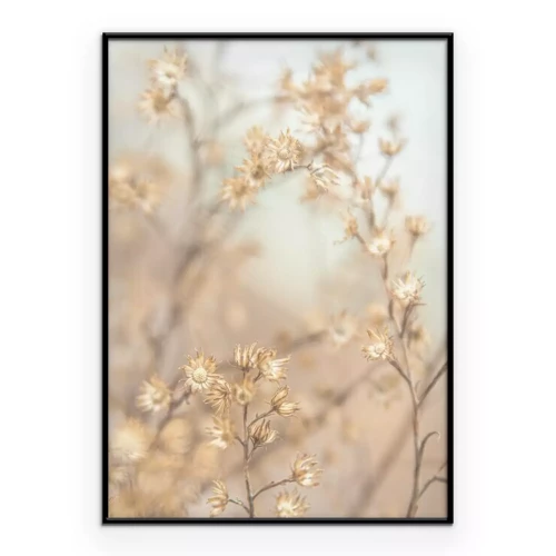 Poster Wildblumen nach der Blüte