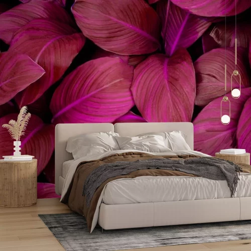 Fototapete Abstrakte tropische Blätter