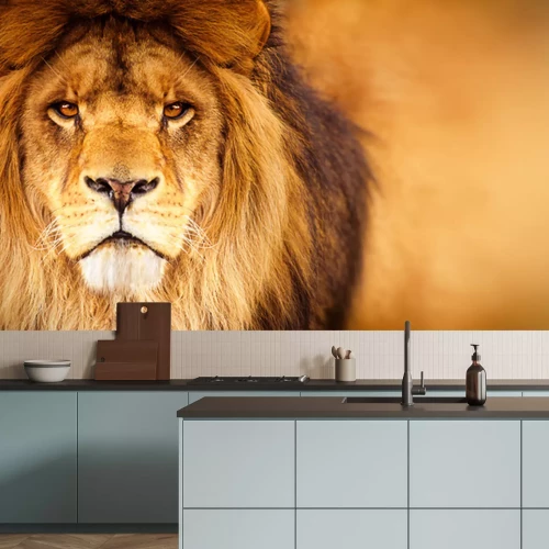 Fototapete Majestätisches Porträt eines Löwen