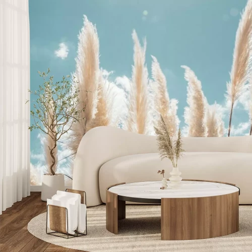 Fototapete Pampa grass with light blue sky and clouds