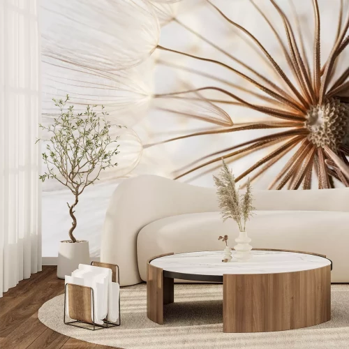 Fototapete Löwenzahnsamen in Nahaufnahme, botanisches natürliches Muster