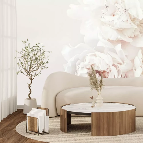 Fototapete Pastel peony flowers in bloom as floral art background, wedding decor and luxury branding design