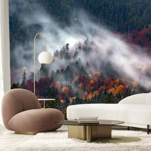 Fototapete Nadelwald im Nebel, herbstliche Landschaft