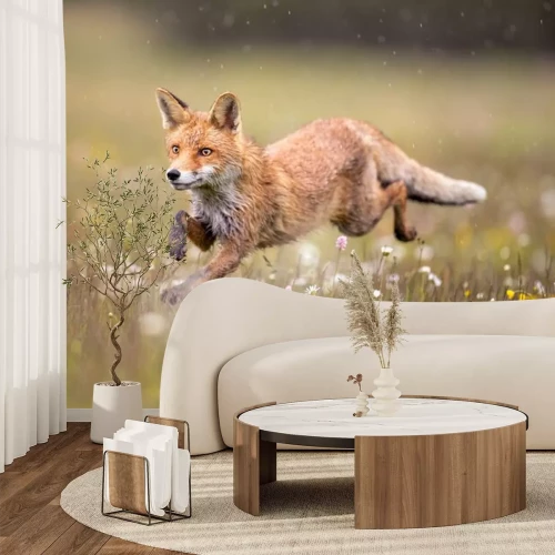 Fototapete Fuchs auf einer Blumenwiese