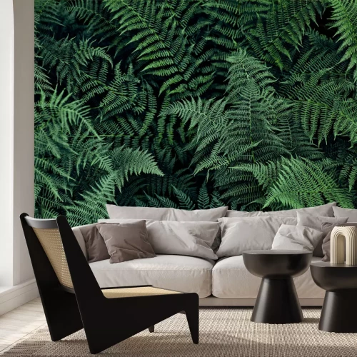 Fototapete Dunkelgrüne Farnblätter
