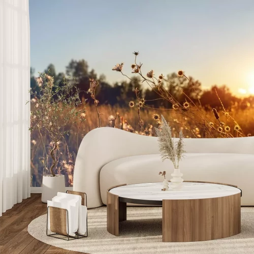 Fototapete Abstract warm landscape of dry wildflower and grass meadow on warm golden hour sunset or sunrise time. Tranquil autumn fall nature field background. Soft golden hour sunlight at countryside