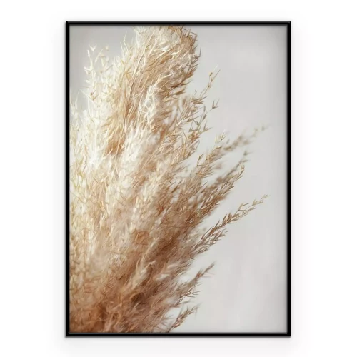 Poster Getrocknetes Ziergras auf grauem Hintergrund