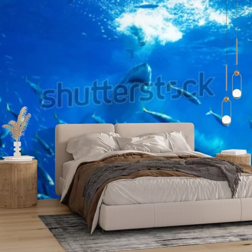 Fototapete Ein Hai jagt einen Fischschwarm