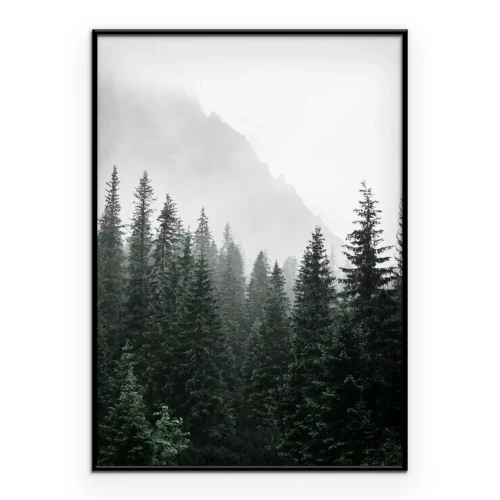 Poster Ein mystischer Bergwald, eingehüllt in dichten Nebel