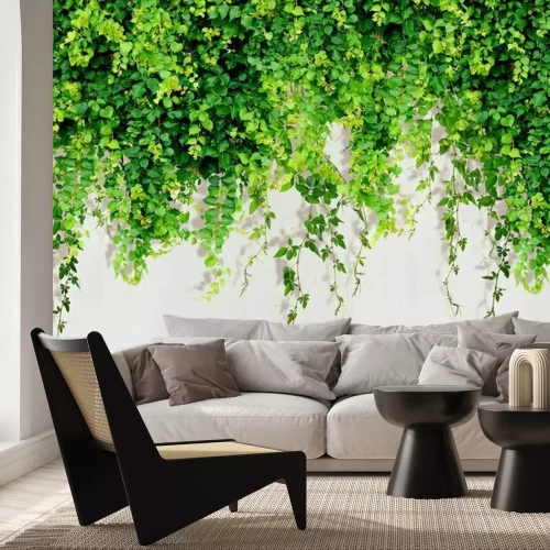 Fototapete Grüne Kletterpflanzen 3D auf weißem Hintergrund