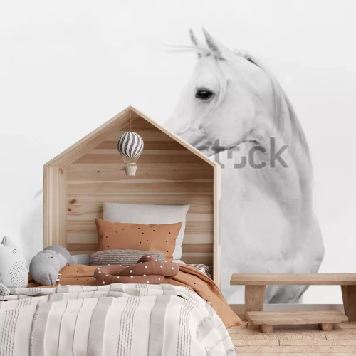 Fototapete Arab horse in high key