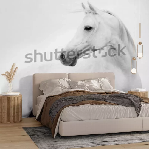 Fototapete Arab horse in high key