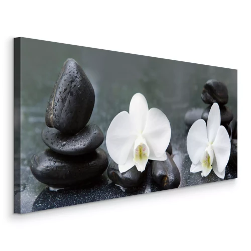 Bild Weiße Orchideenblüten und Steine mit Wassertropfen