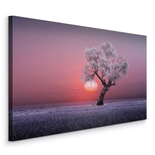 Bild amazing tree in the morning