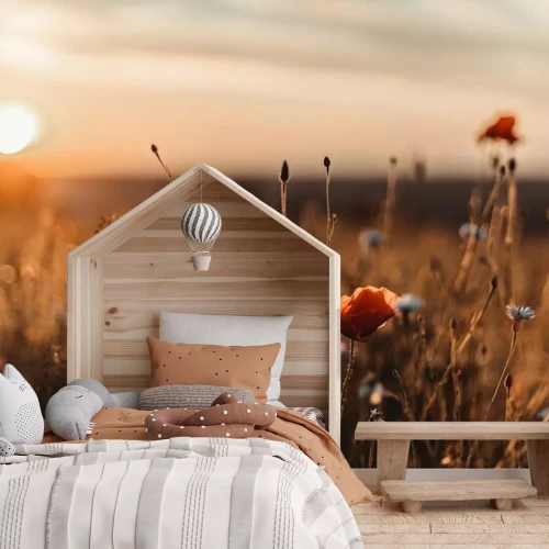 Fototapete Sonnenuntergang über einer Mohnwiese