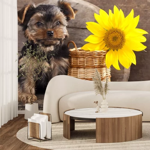 Sticker Haustiere Terrier und Weidenkorb mit Blume