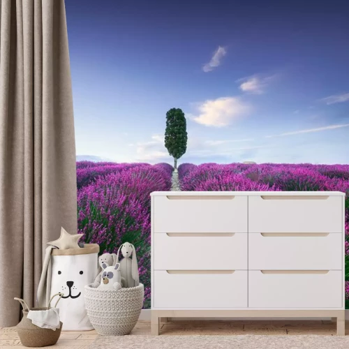 Fototapete Lavendelfeld in der Toskana