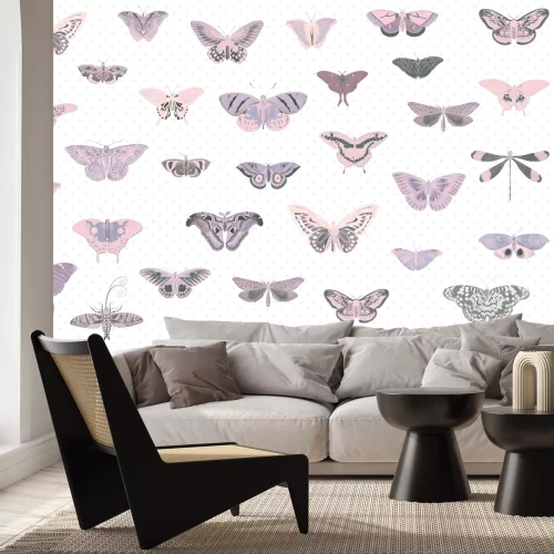 Fototapete Atlas der Schmetterlinge