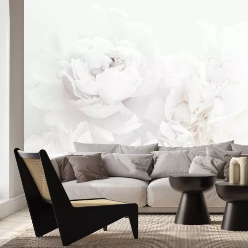 Fototapete Weiße Pfingstrosen