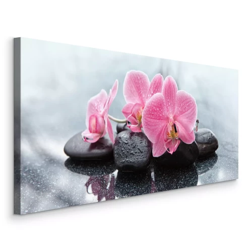 Bild Rosa Orchideenblüten und schwarze Steine