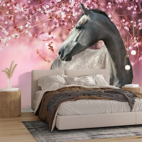 Fototapete Horse and foal