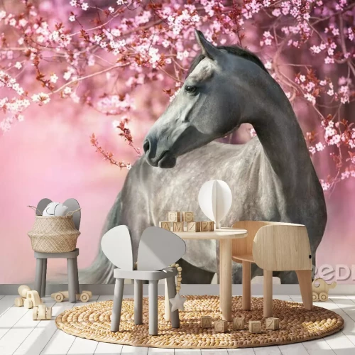 Fototapete Horse and foal