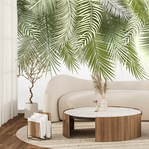 Fototapete Hängende Blätter grüner Palmen