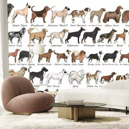 Fototapete Verschiedene Hunderassen
